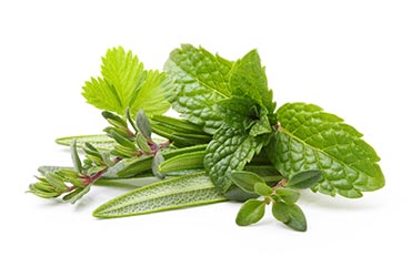 Fresh Herbs