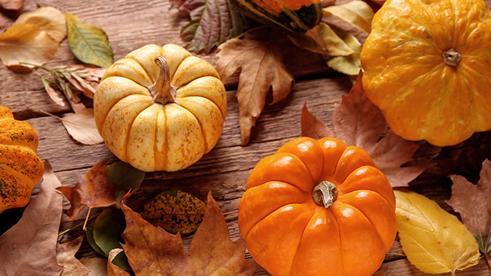 Pumpkin