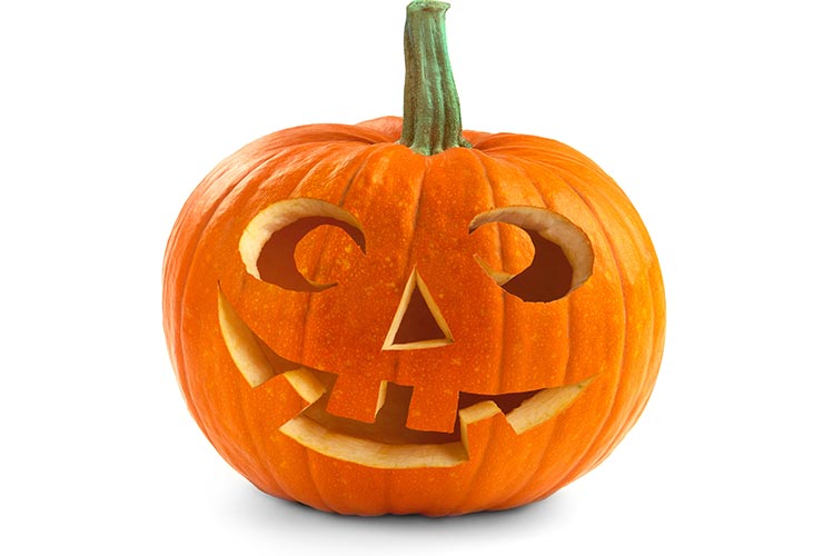 Everything Pumpkin