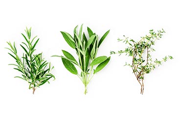 Fresh Herbs