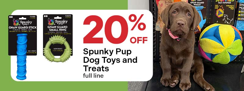 Spunky Pup Dog Toys and Treats