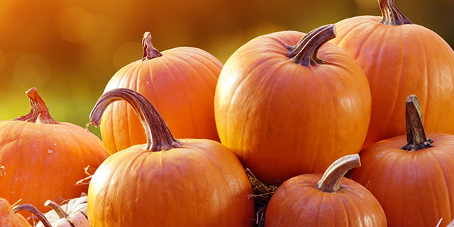 Large Pumpkins