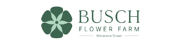 Spring Reflections Bouquet